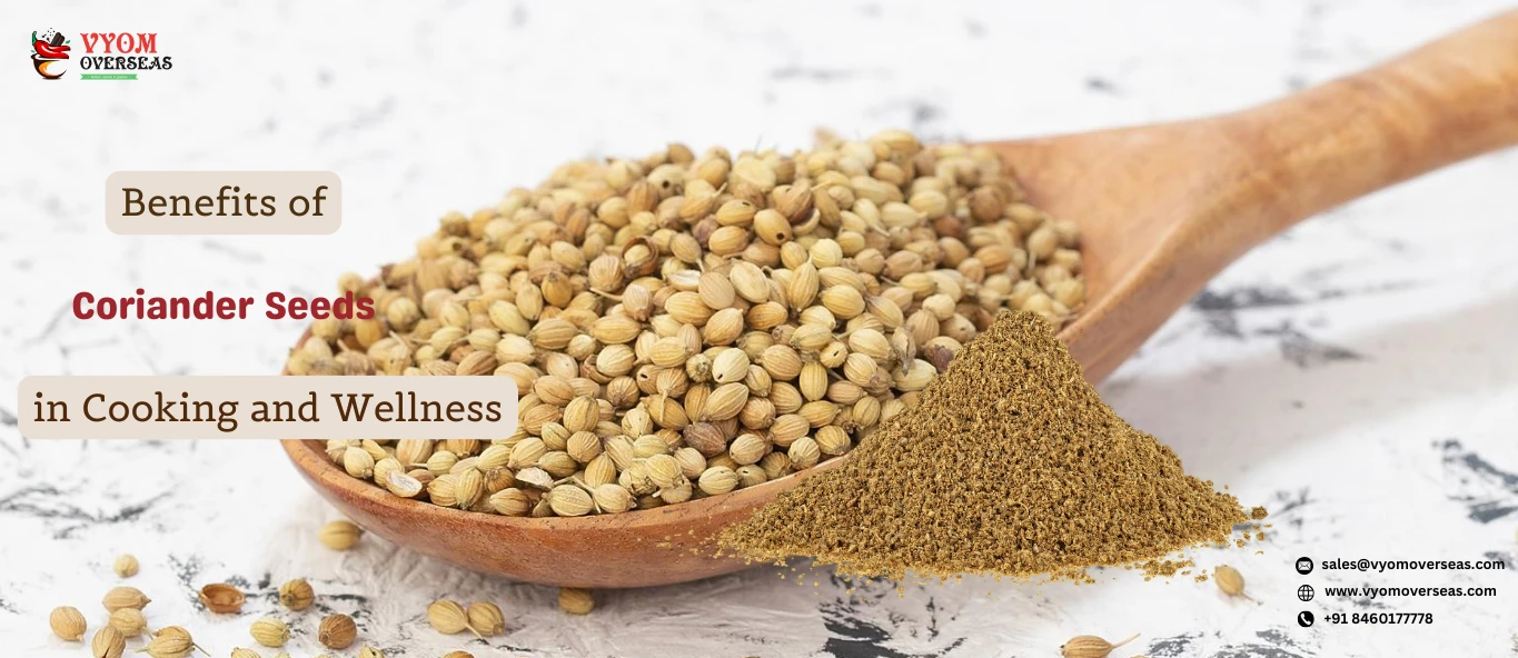 Benefits of Coriander Seeds in Cooking and Wellness