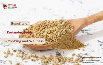 Benefits of Coriander Seeds in Cooking and Wellness