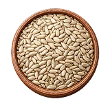 Sunflower Seeds