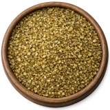 Oregano